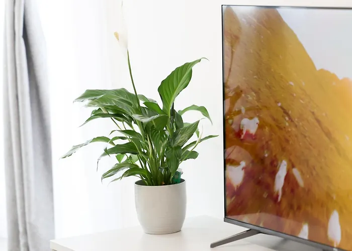 Vitan Oasis ---free Secured Private Parking---self Check-in-- *